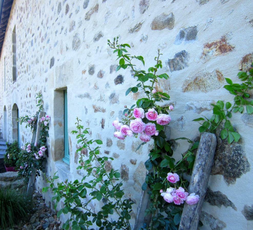 Les 5 Petits Lapins Bed & Breakfast Bar Dış mekan fotoğraf